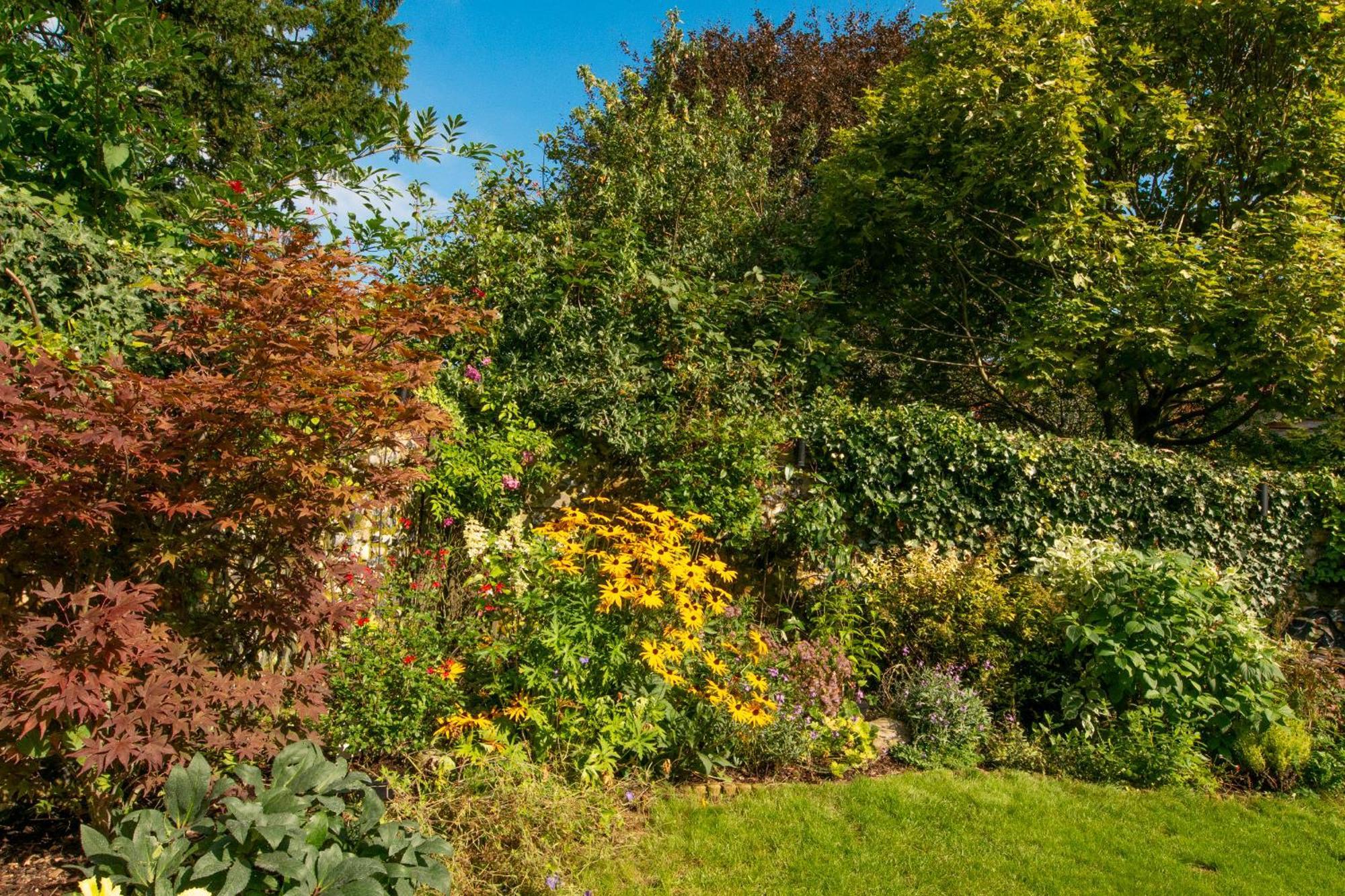 Miller Cottage A Luxury 1550'S Cottage In The Historic Centre Of Saffron Walden Exteriör bild